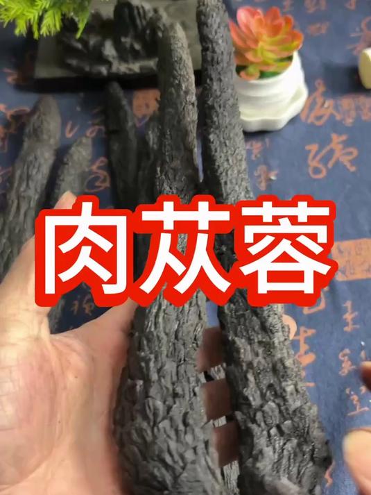 肉苁蓉,你知道是有什么用吗