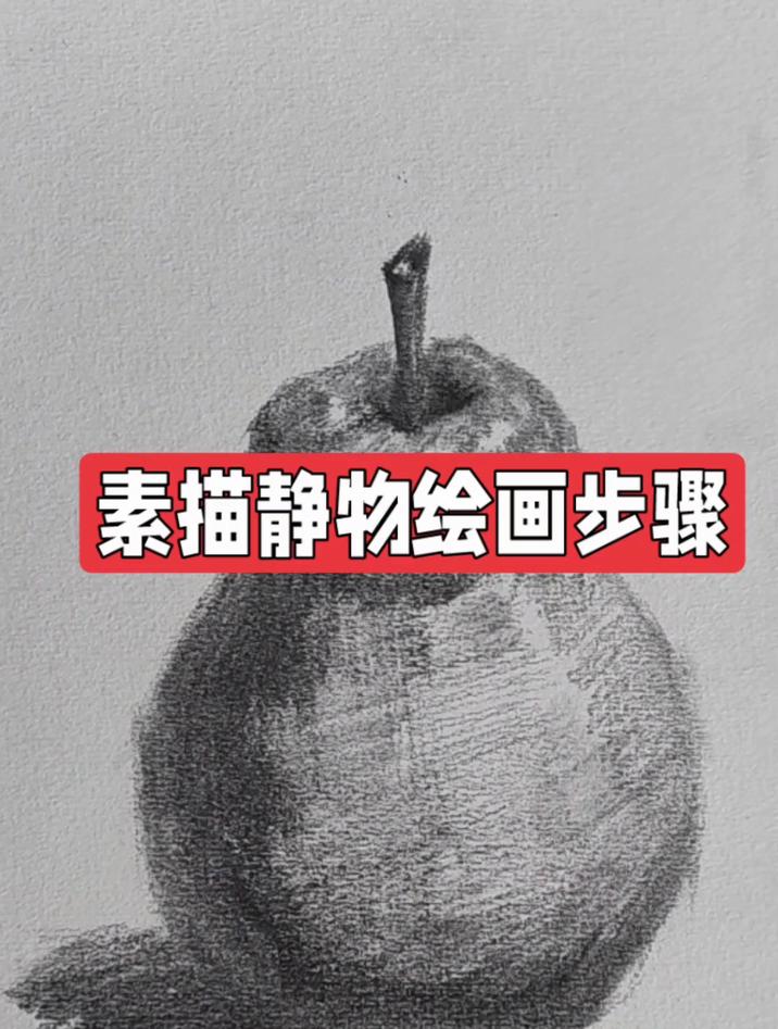 素描静物绘画基本步骤讲解