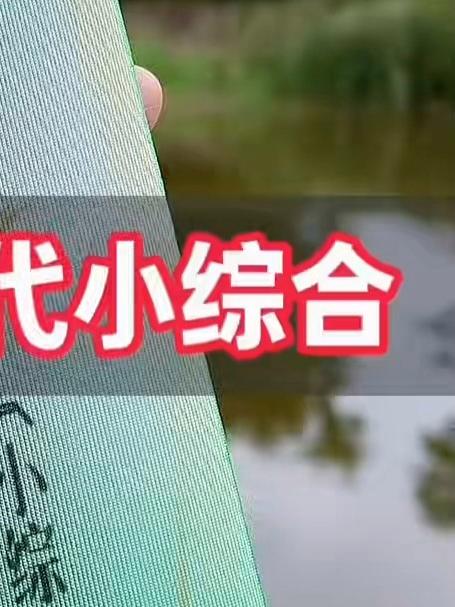汉鼎一号 6 代!国民专业钓竿,综合手竿钓鲫鱼渔具