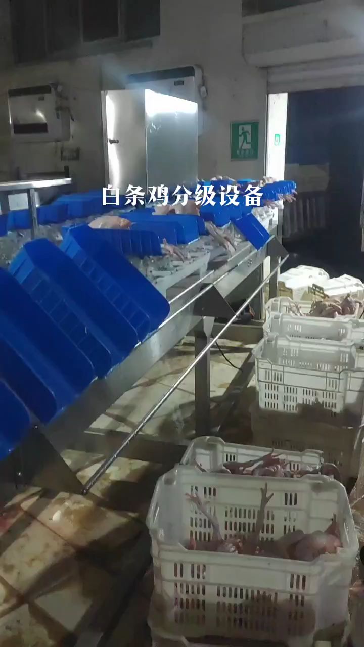 白条鸡加工,家禽屠宰设备,白条鸡全自动分选机,白羽肉鸡屠宰线