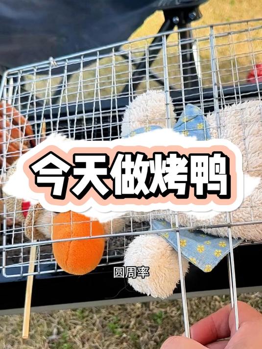 今天就把你做成烤鸭