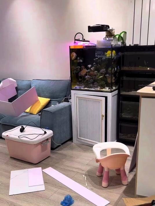 这鱼缸我是欣赏不来，非得开缸的话