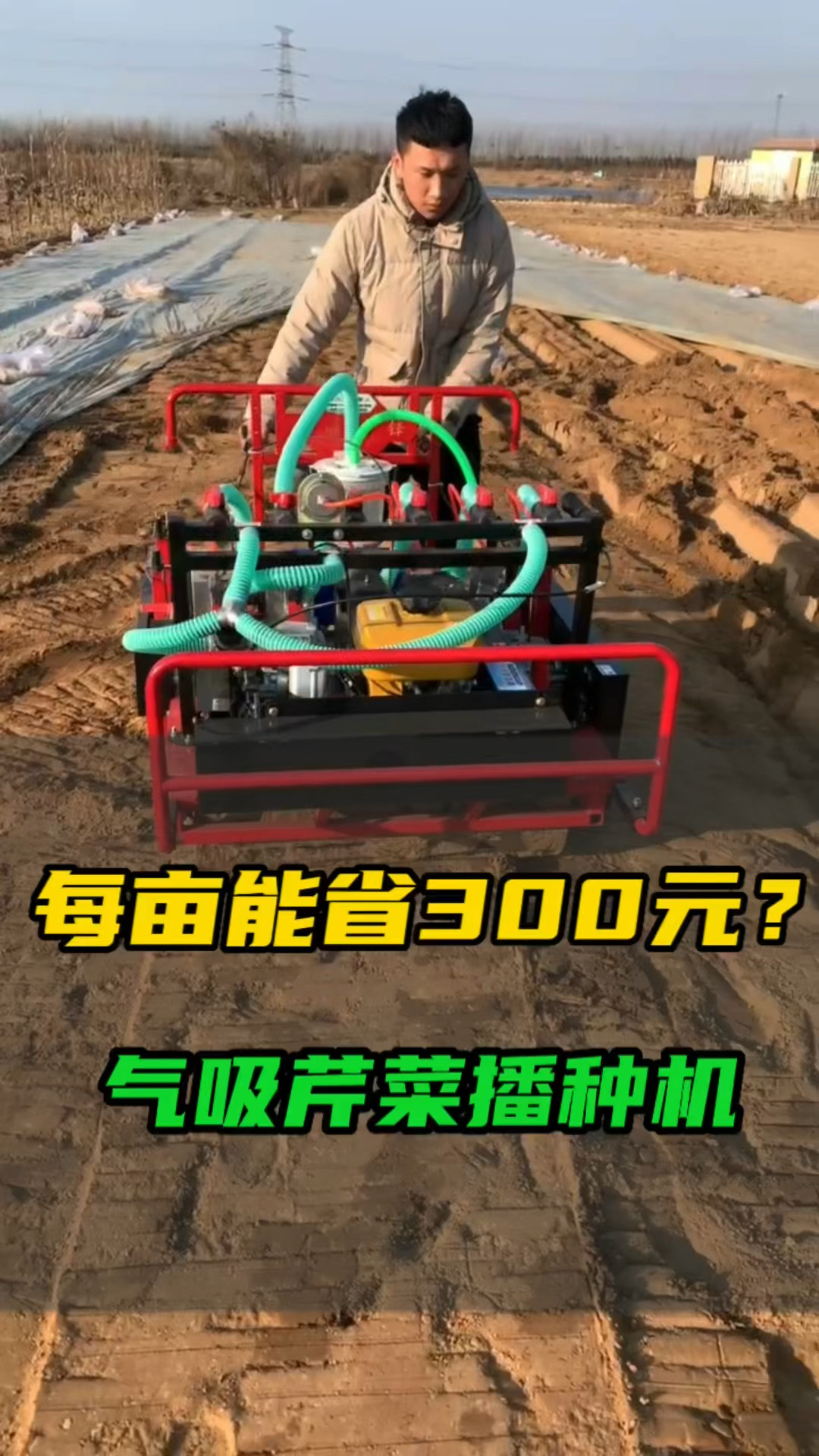 每亩地能省300气吸芹菜播种机