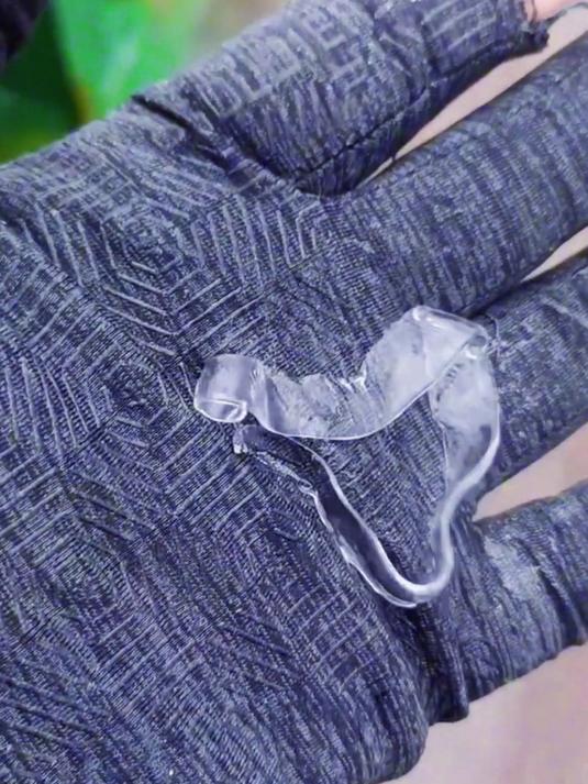 带你认识10种鳗鱼,你见过几种?#鳗鱼 #海洋生物 #科普