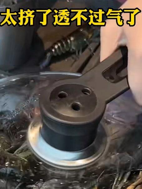 看服务员小姐姐如何蒸海鲜,蒸汽海鲜锅看着都馋人