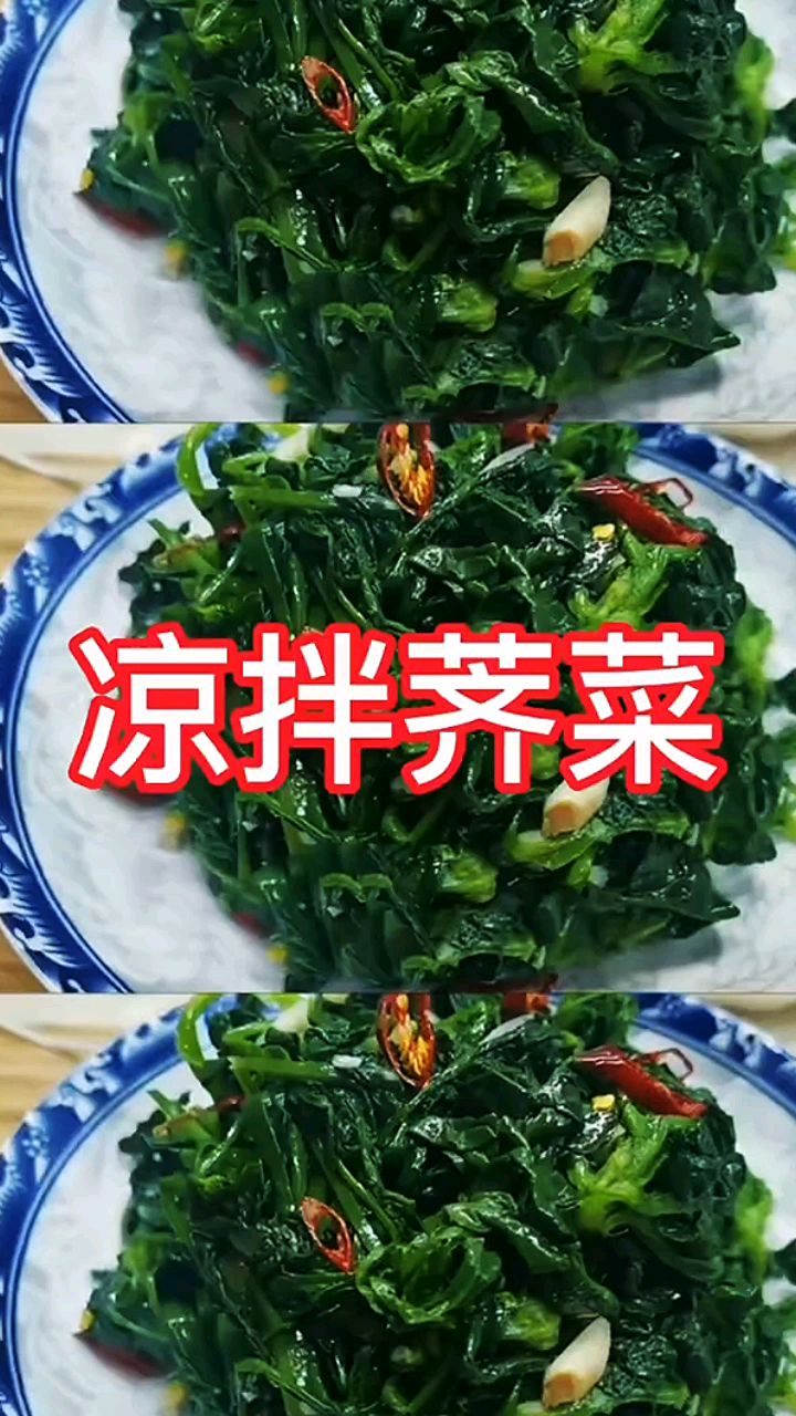 刚从地里挖的新鲜荠菜!凉拌荠菜新吃法!做法简单,营养又美味,一起来做吧!