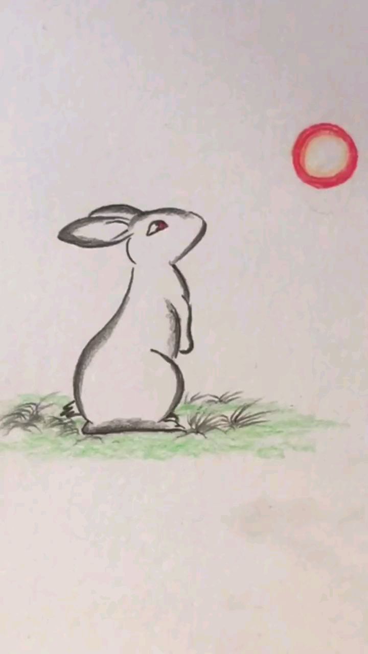 简笔画:画一只赏月亮的兔子
