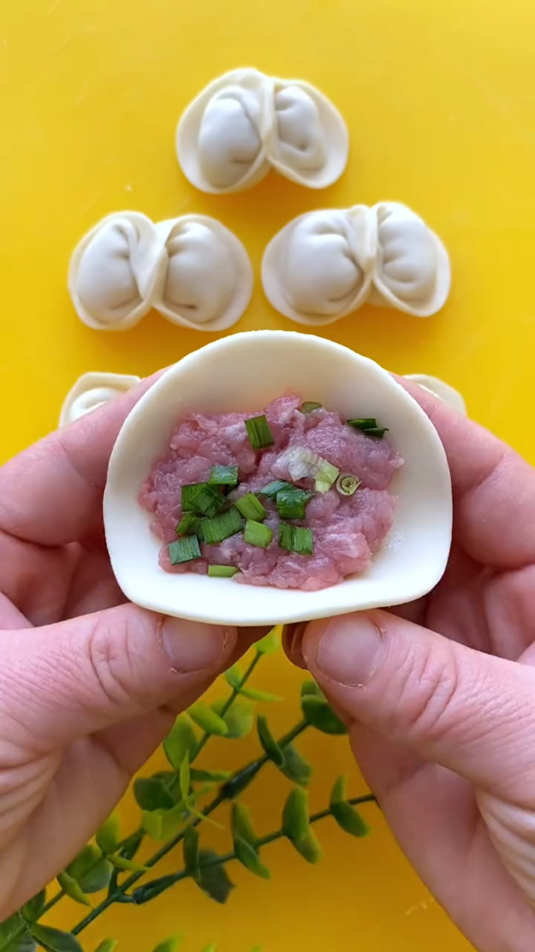 鸳鸯饺子最简单的包法