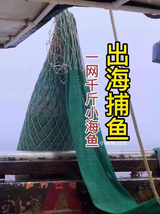 第四集出海捕鱼,一网1000斤小海鱼