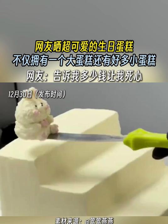 网友晒超可爱的生日蛋糕,不仅拥有一个大蛋糕还有好多小蛋糕