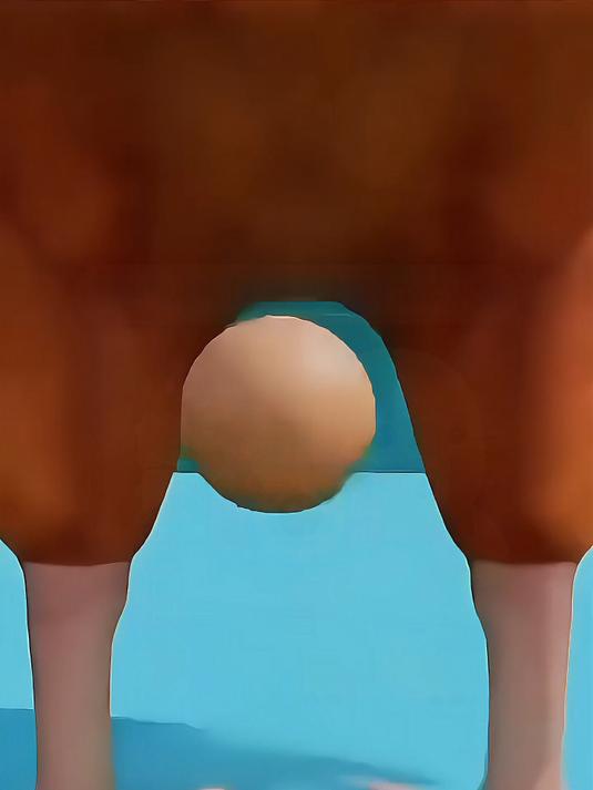 原来鸡蛋竟然是这样形成的