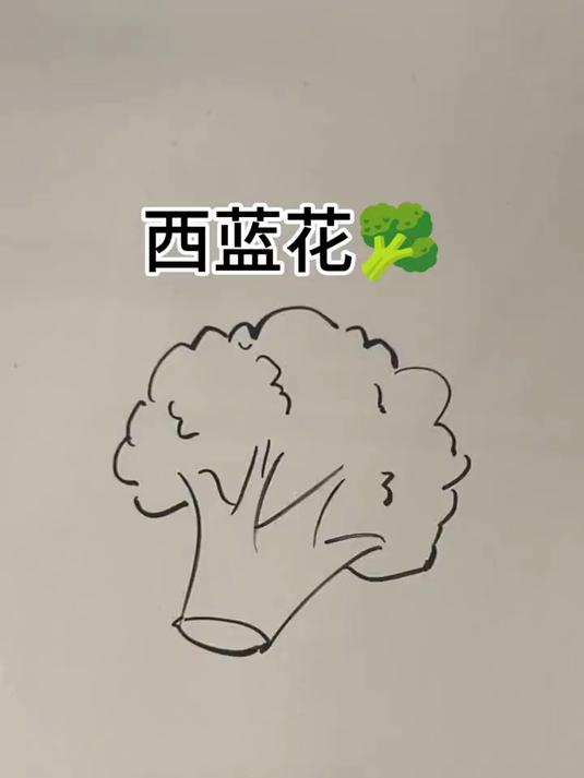 简笔画教程——西蓝花