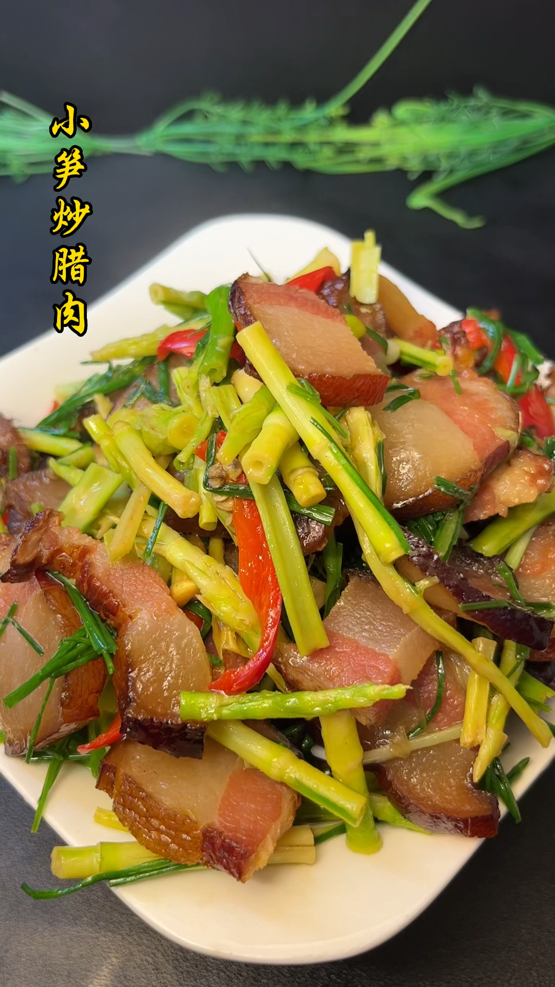 小笋长出来了,炒腊肉是最好吃的