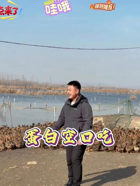 流油起沙咸香美味海鸭蛋熟咸鸭蛋即食