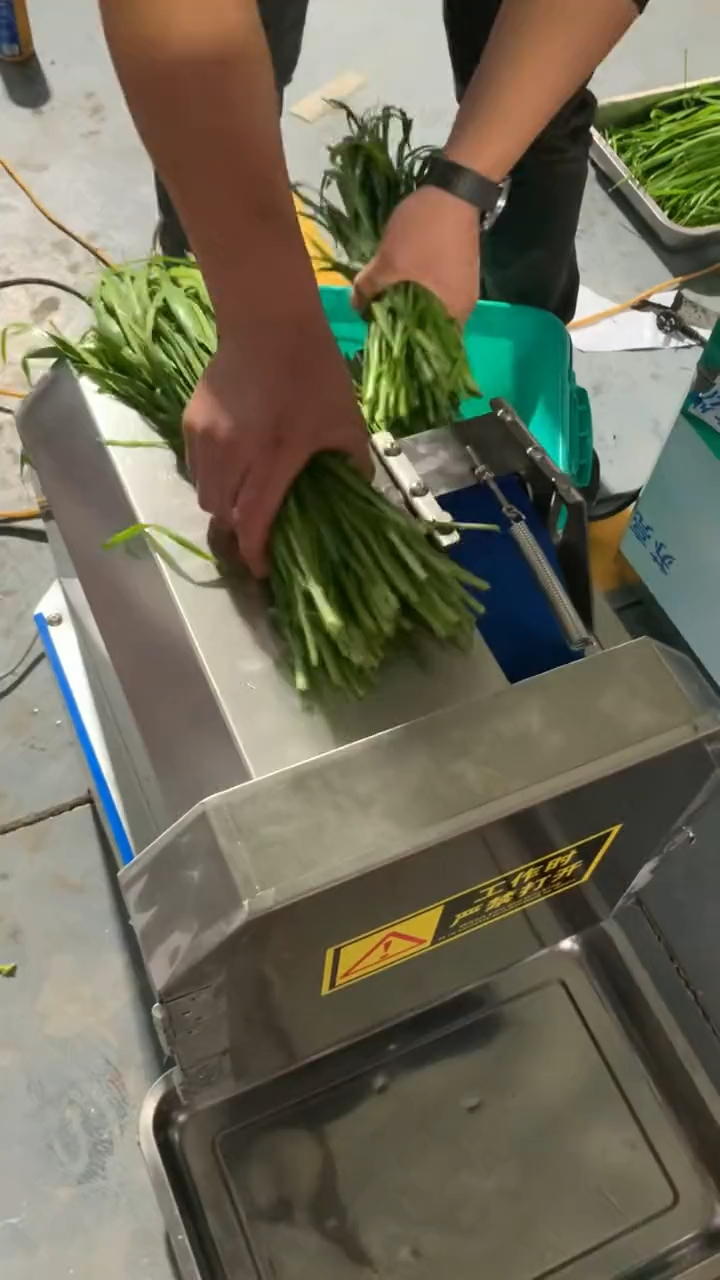 乐世博切菜机 小型切菜机 小型饭店常备机械 切菜机