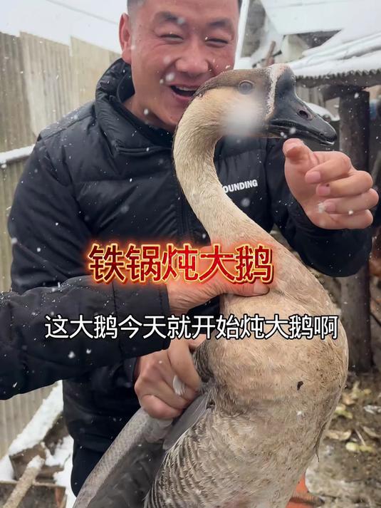 雪花纷飞落银河！东北下雪炖大鹅！