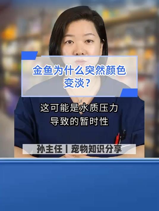 金鱼为什么突然颜色变淡?