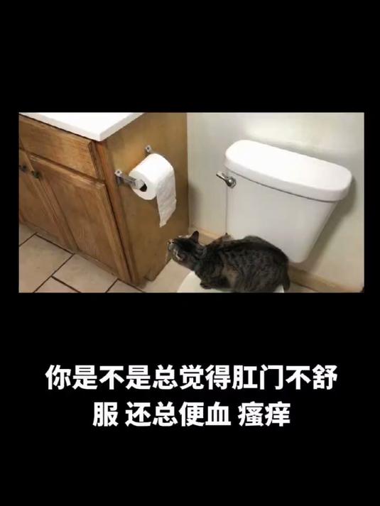 痔疮外痔肉球怎么消除?点击了解详情