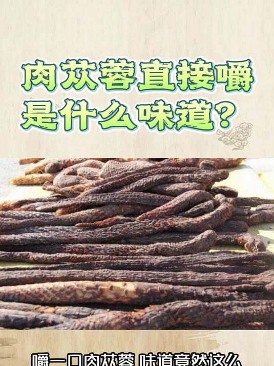 肉苁蓉直接嚼是什么味道?