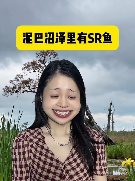 泥巴沼泽里的鱼