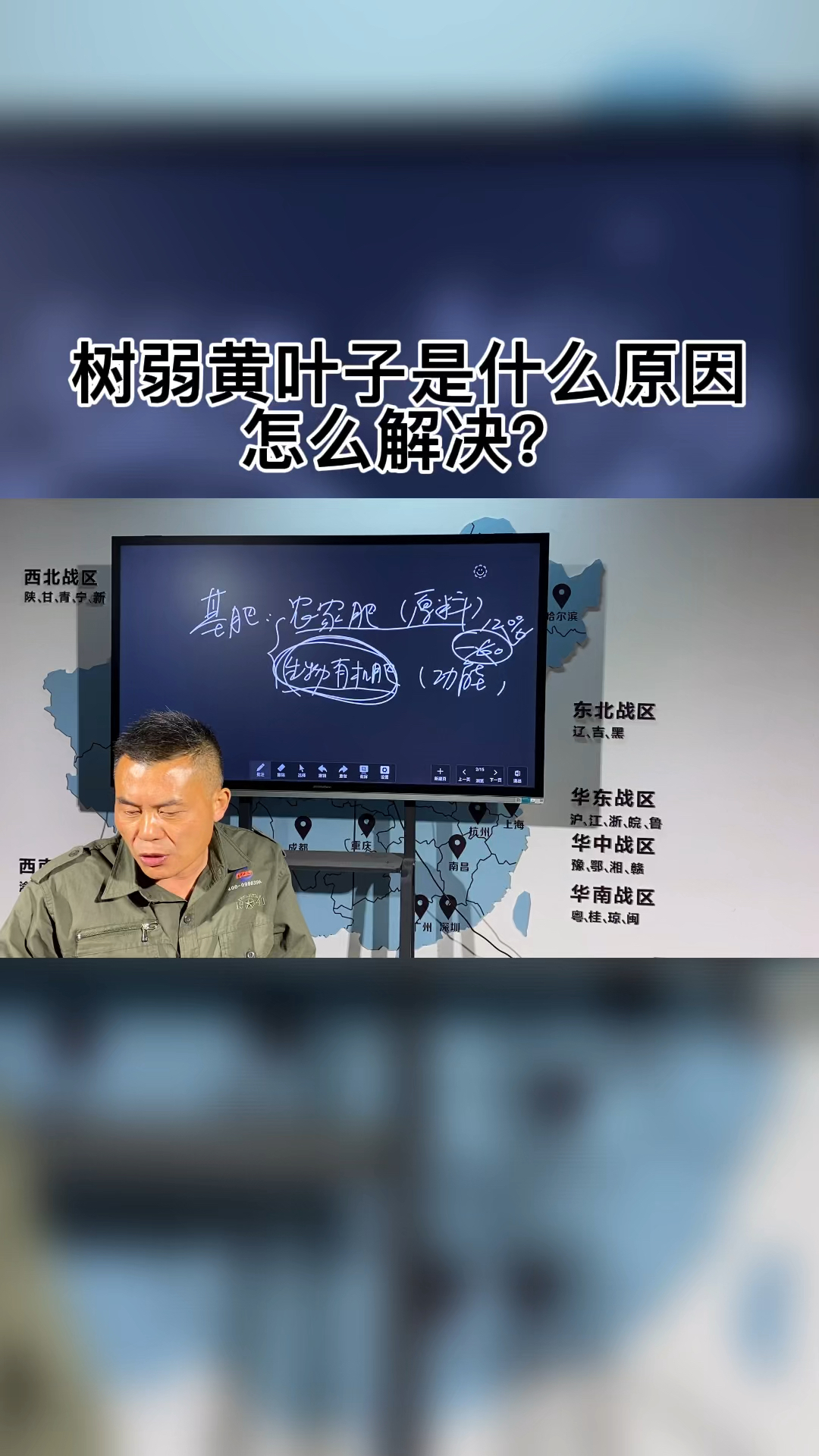 树弱黄叶子是什么原因?怎么解决?