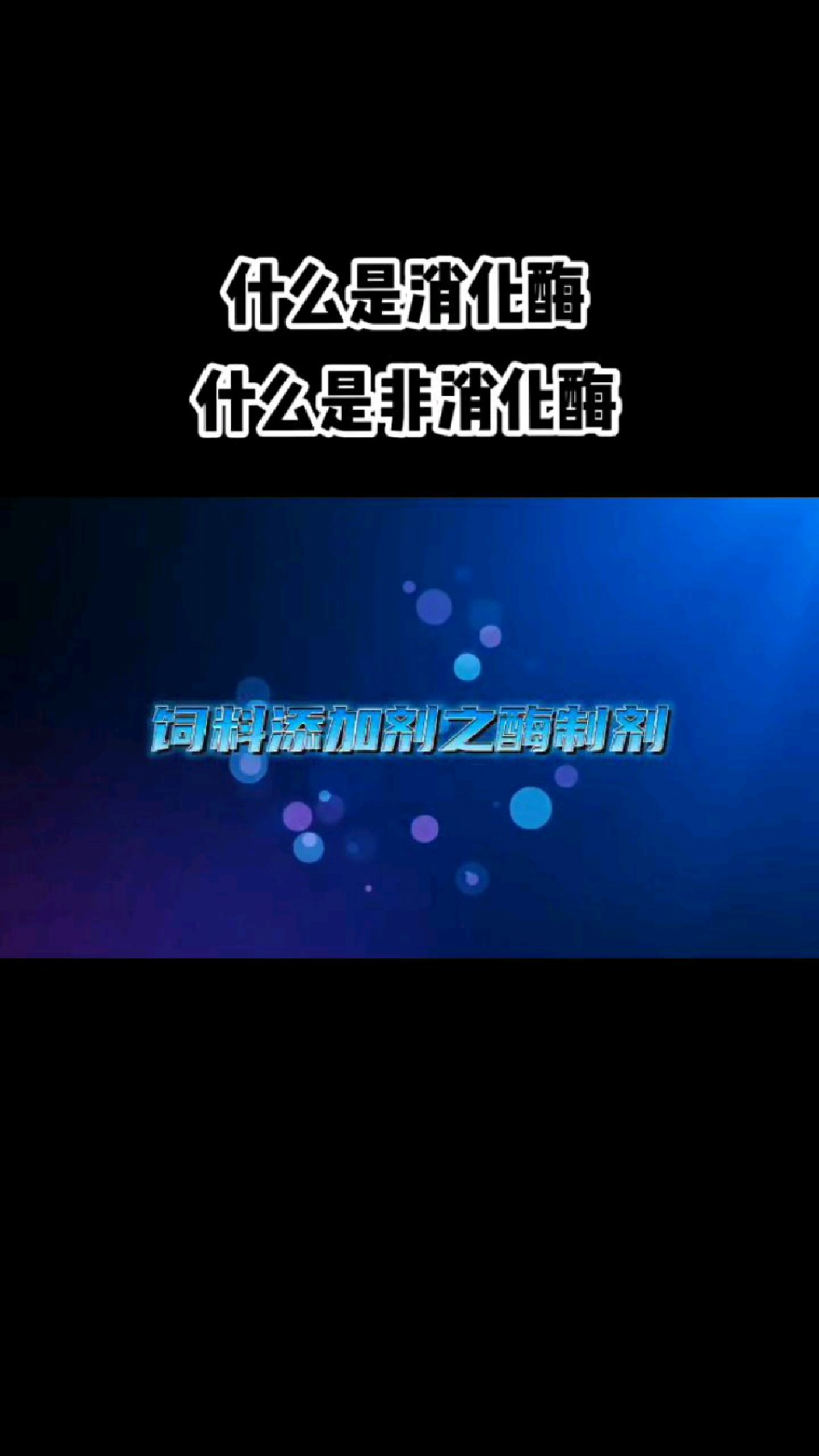 饲用酶之酶的分类