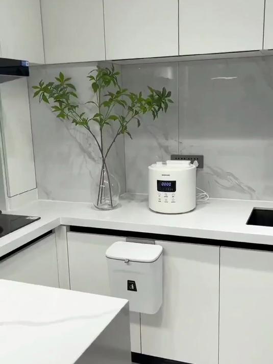 摩动电压力锅家用小型迷你智能4L大容量全自动电高压锅饭煲