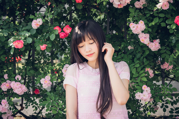 图片[11]-Blooming rose-六色网
