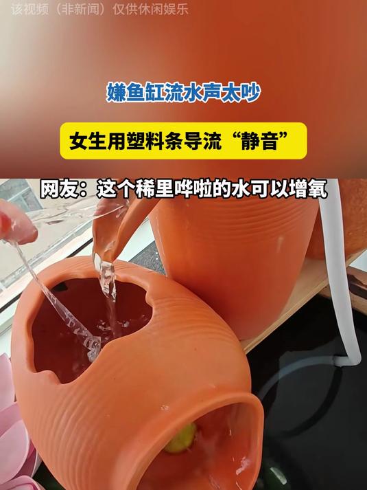 嫌鱼缸流水声太吵，女生用塑料条导流静音，网友：这水可以增氧
