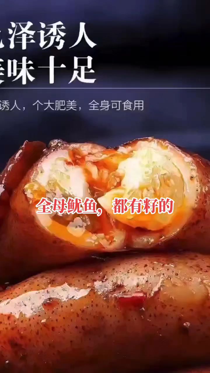 全母鱿鱼,个个都有籽的
