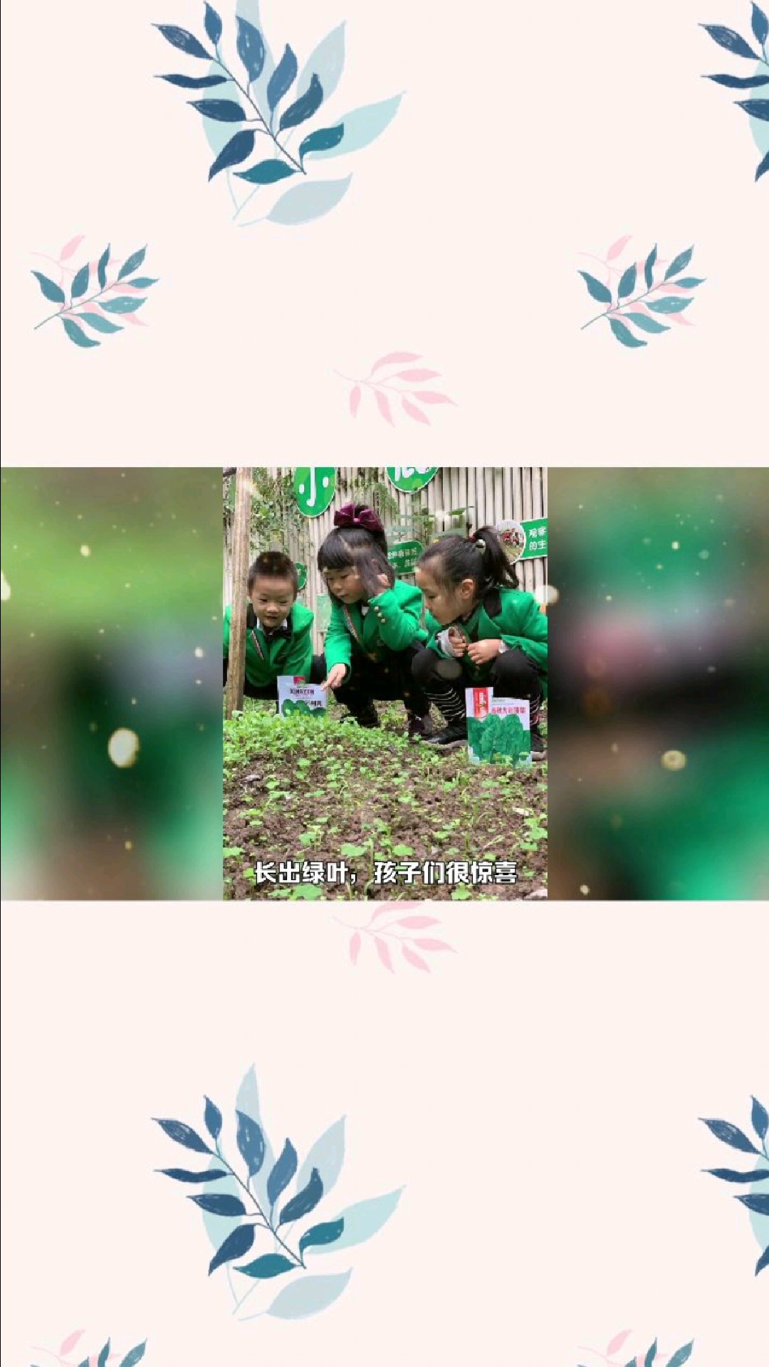 带孩子种蔬菜,观察蔬菜,记录生长过程