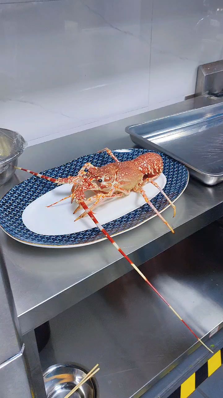 今天来郑东新区拍摄大龙虾@郑州超赞短视频摄影团队