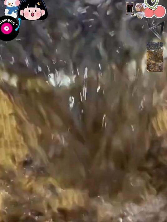高钙小虾皮,替代鸡精味精,天然提鲜超安心