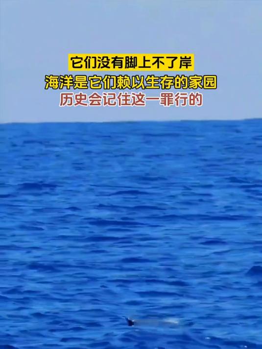 日本核废水排海,直接威胁海洋生物