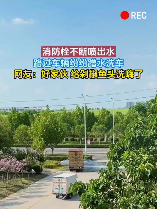 消防栓不断喷出水,路过车辆纷纷蹭水洗车,网友:好家伙 给剁椒鱼头洗嗨了