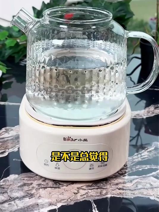 小熊全玻璃养生壶家用多功能办公室小型煮茶壶烧水壶炖煮2024新款 白色