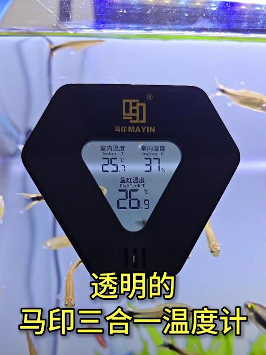 透明的三合一温度计,测鱼缸温度、室内温度和湿度,还是马印的