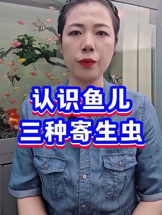 认识鱼儿三种寄生虫急应对