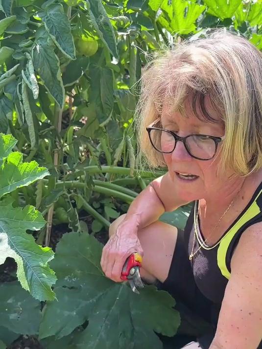 英国菜园长出中国味道！今天我们来一场蔬菜自由