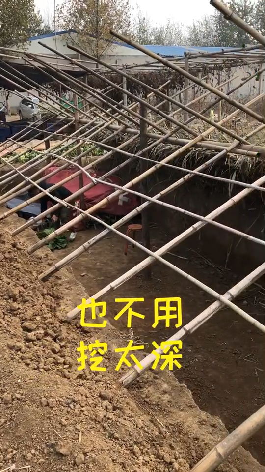 小朱带您了解菜窖怎么制作