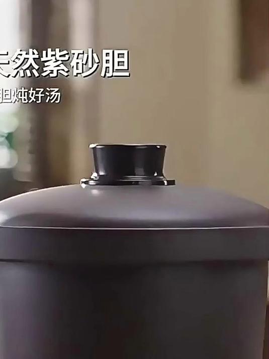 苏泊尔电砂锅，3L紫砂速沸鲜浓汤，精炖省时快一半