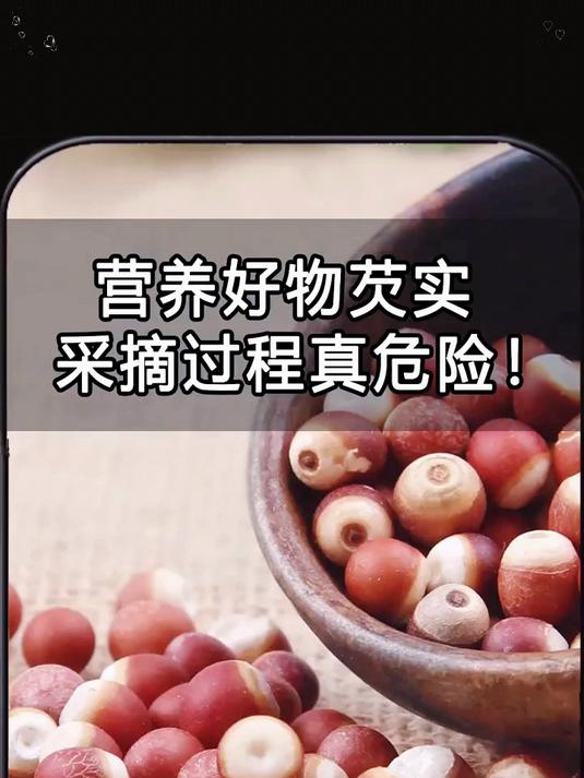 你知道芡实是什么东西吗 正宗特级鸡头米