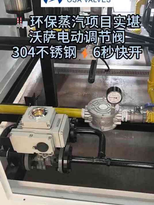 环保蒸汽项目实堪，沃萨电动调节阀6秒快开