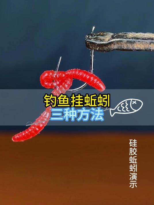 钓鱼挂蚯蚓三种方法#蚯蚓怎么挂钩##挂蚯蚓钓鱼##蚯蚓挂钩方法#
