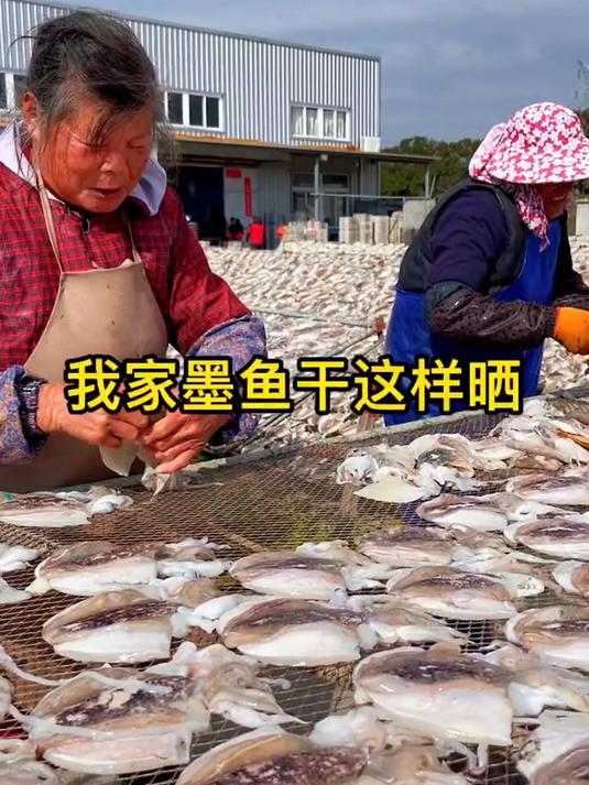 正宗日晒墨鱼干,无硫无添加,炖汤提鲜超好用。#墨鱼干百搭吃法##墨鱼干#