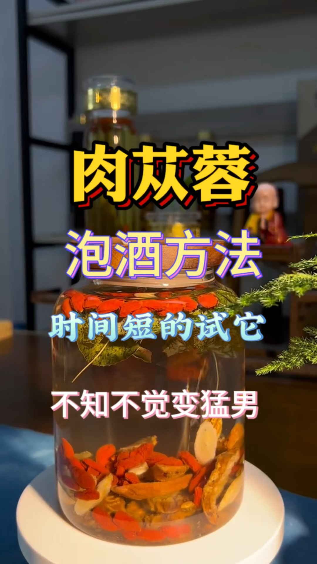 肉苁蓉泡酒方法,时间短的收好了