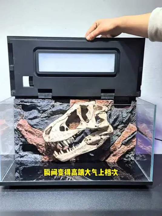小米鱼缸装 3D 背景板 侏罗纪重现 效果超棒