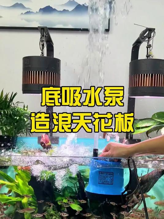 这鱼缸水泵该怎么选？这个性价比很高的底吸水泵就很不错！