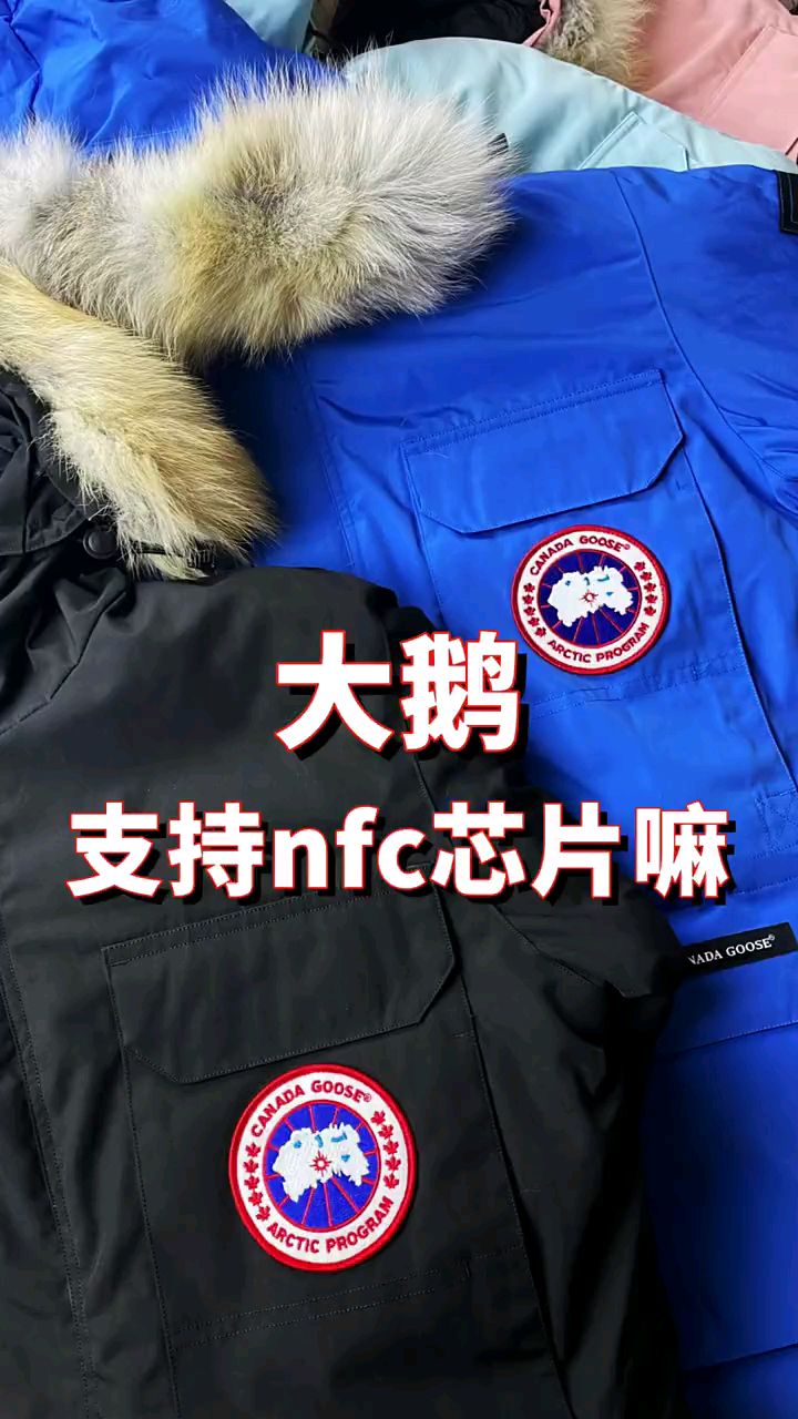 一鹅在手 冬天我有“大鹅 ”