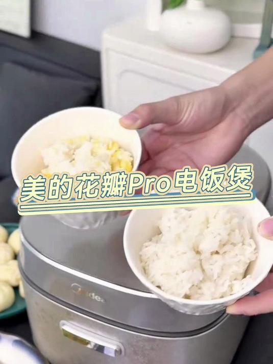 电饭煲哪个牌子好用质量好?有什么电饭煲推荐